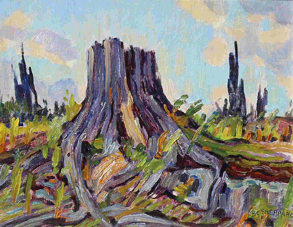 Peter Clapham (P.C.) Sheppard (1882-1965) - Old Stump, Backwoods Country