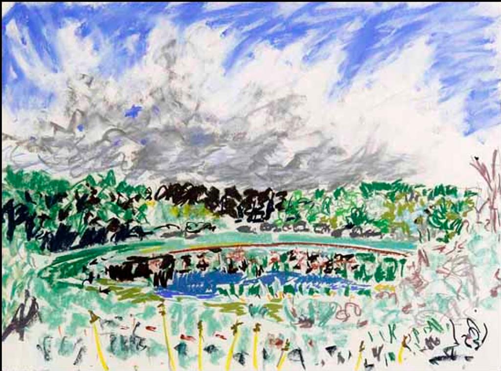 Greg Hardy (1950) - Summer Pond (02193/2013-1380)