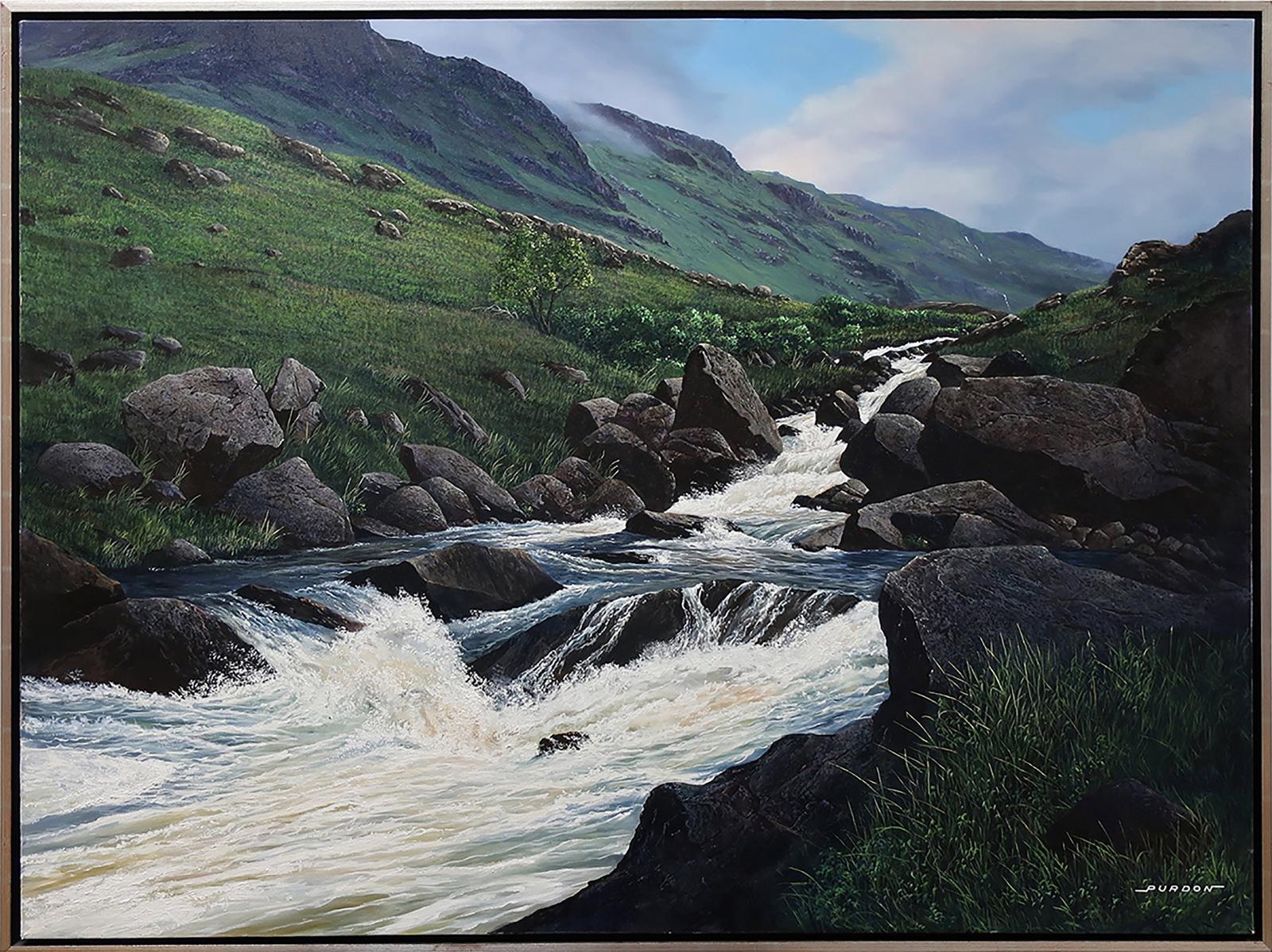Douglas Purdon (1943) - Untitled (Rapid Mountain Water)
