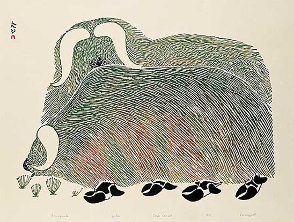 Kananginak Pootoogook (1935-2010) - Uminqmuk #38/100
