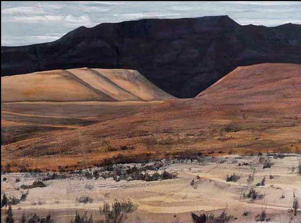 John Doyle (1950) - Baja #22 (01617/2013-2501)