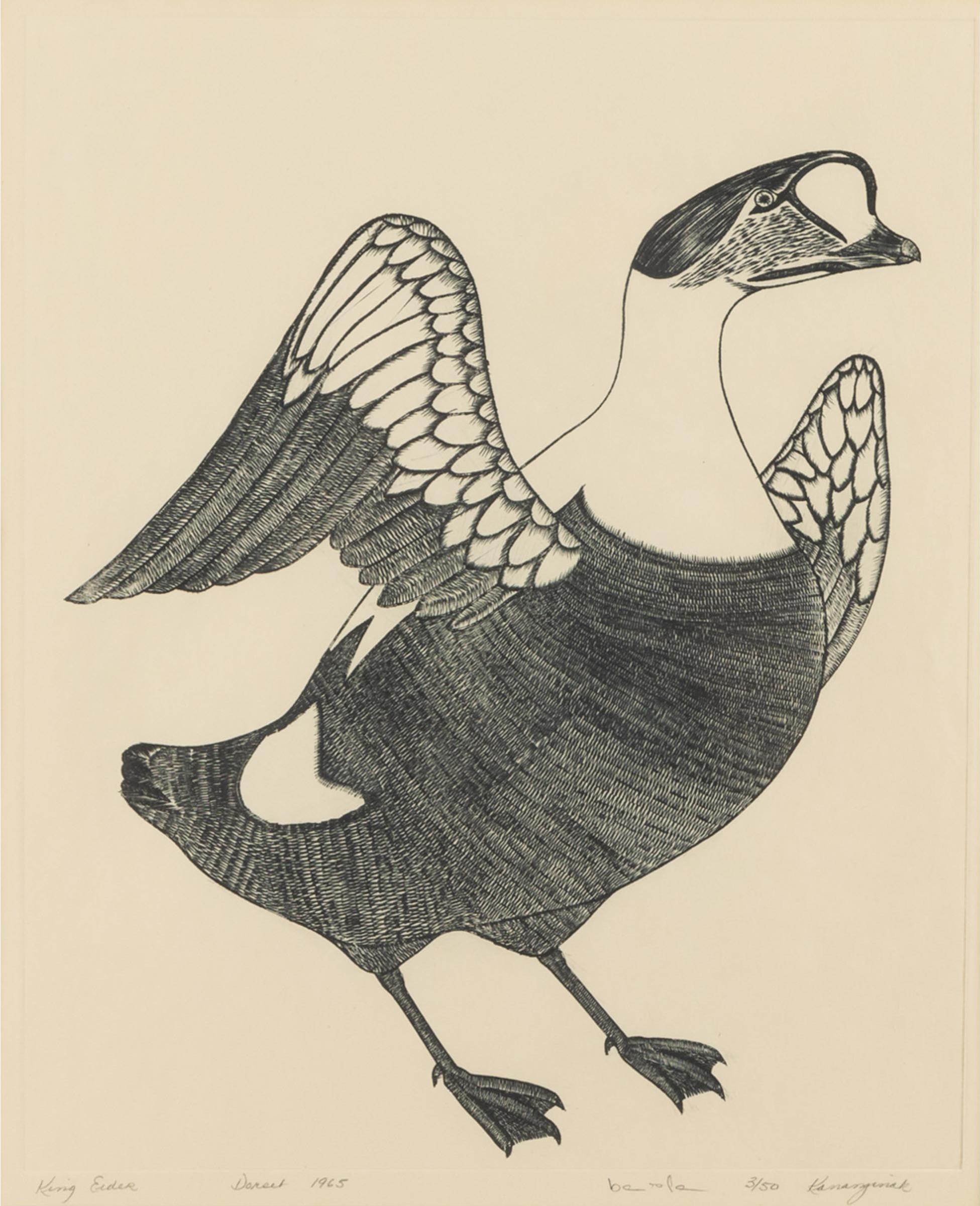 Kananginak Pootoogook (1935-2010) - King Eider, 1965