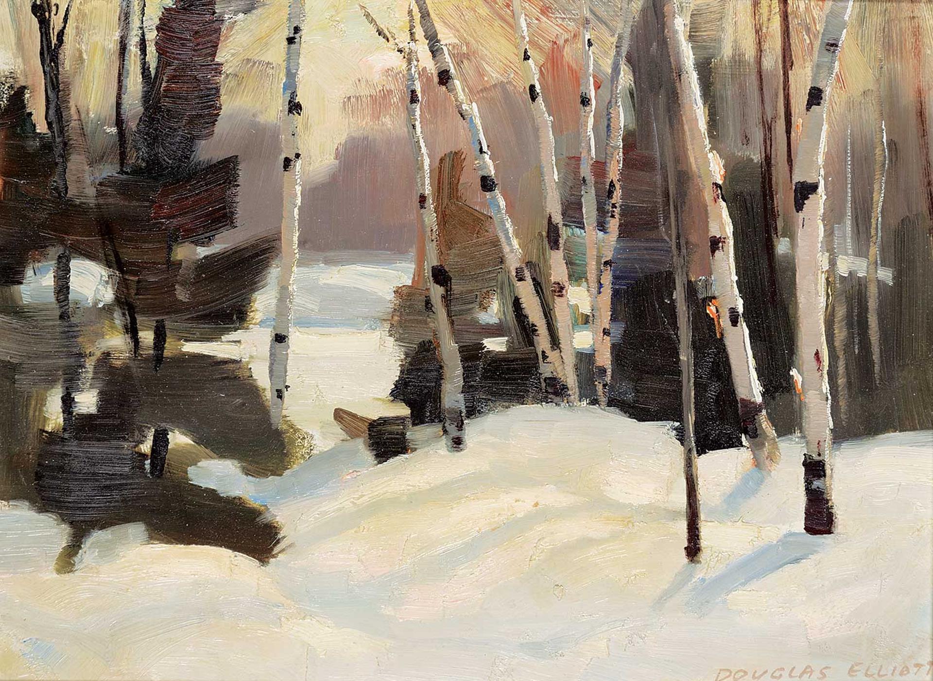 Douglas Ferfguson Elliott (1916-2012) - Late Afternoon Light