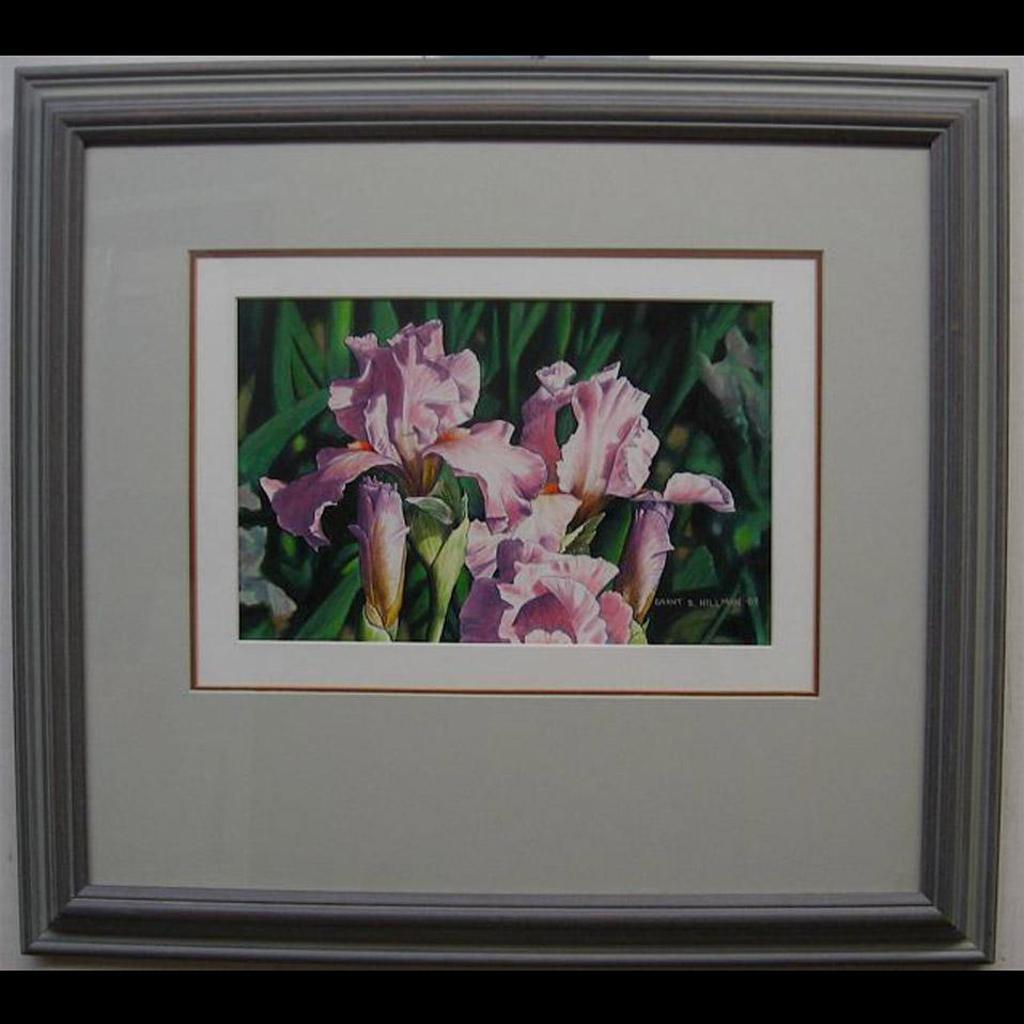 Grant Bourne Hillman (1935-2004) - Irises