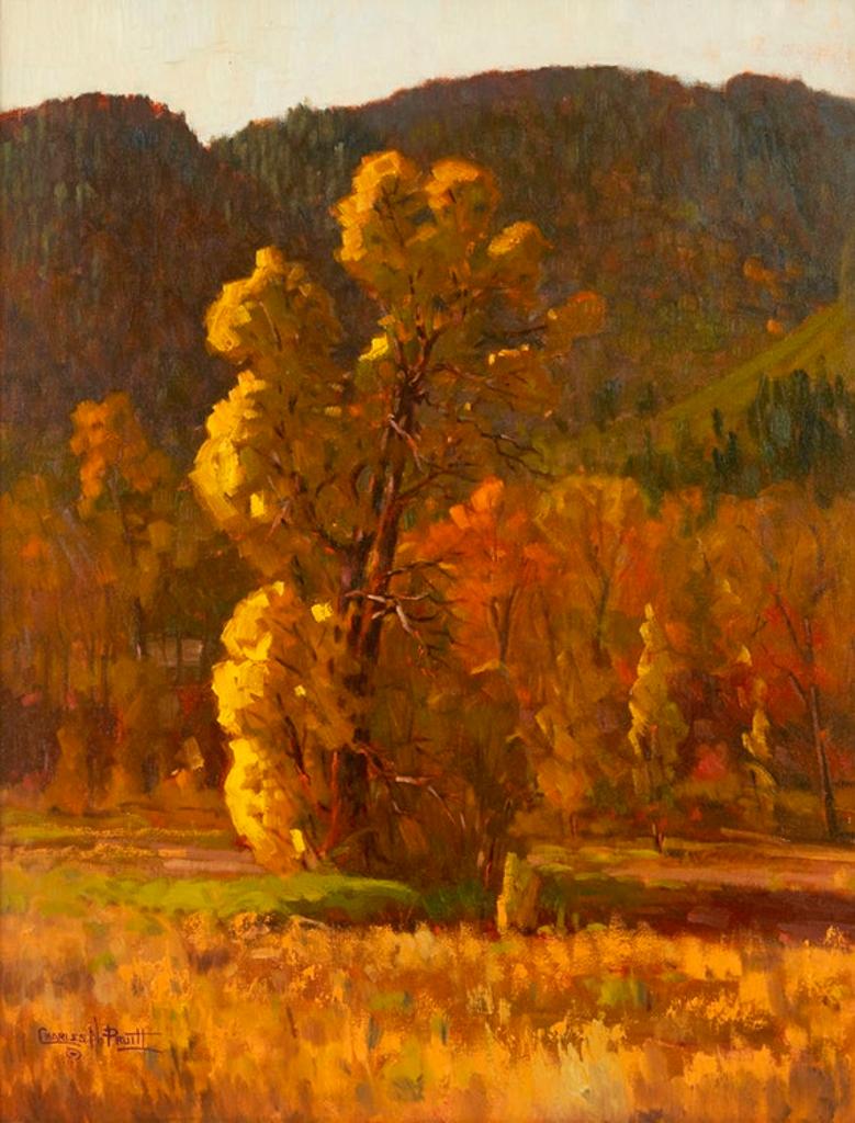 Charles Pruitt (1941) - Cottonwood Sunrise