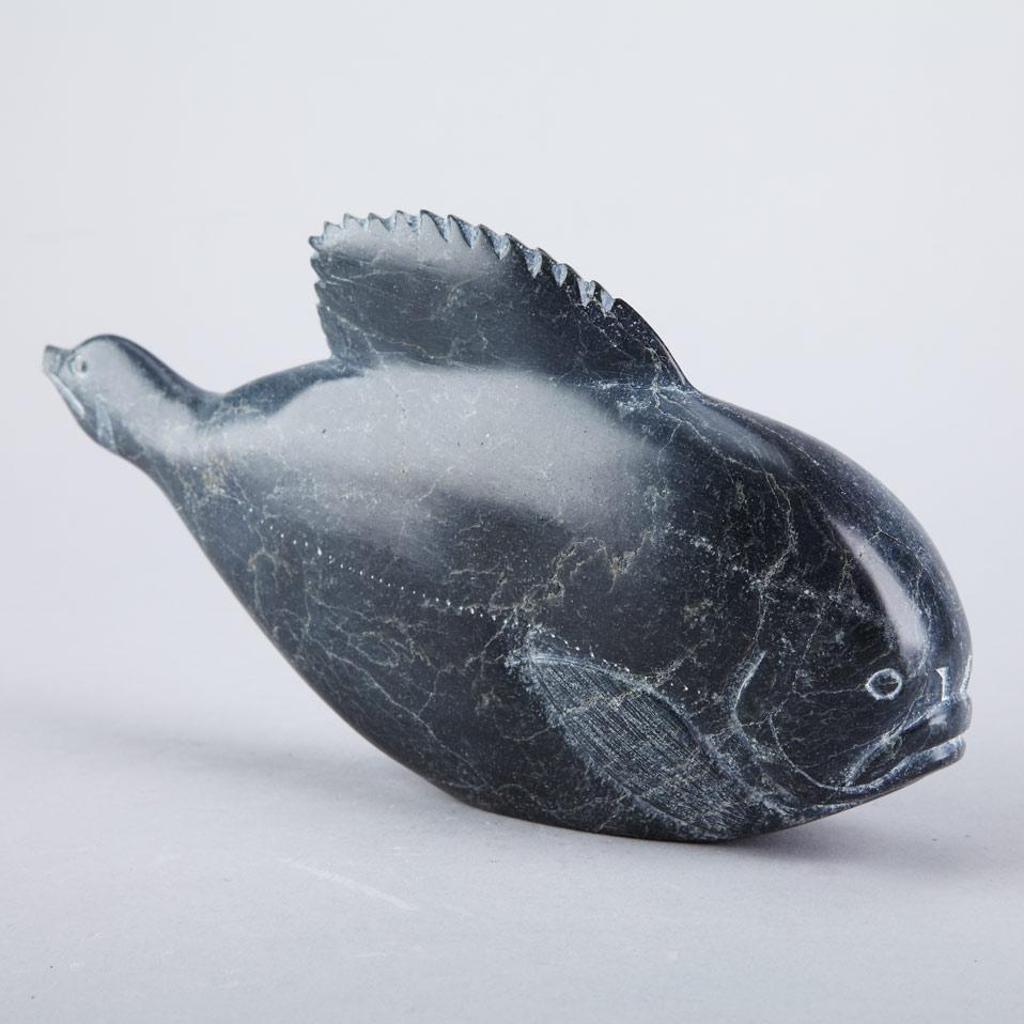 Mathew Echaluk - Bird/Fish Transformation