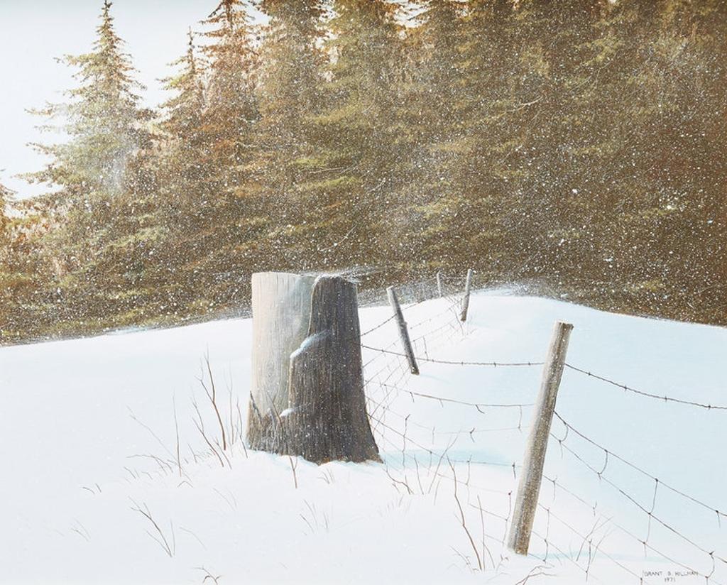 Grant Bourne Hillman (1935-2004) - The Woodlot