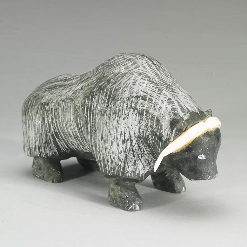 Henry Ford - Musk Ox