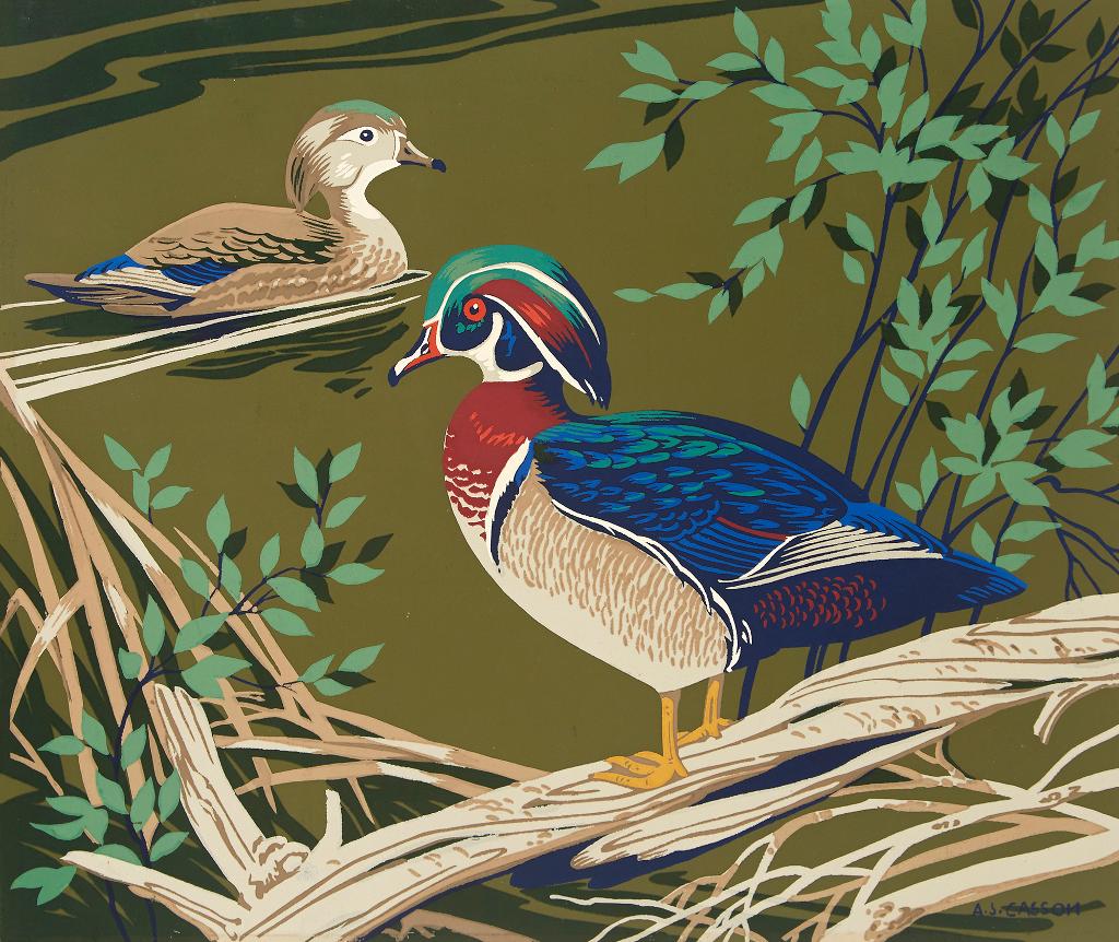 Alfred Joseph (A.J.) Casson (1898-1992) - Wood Duck