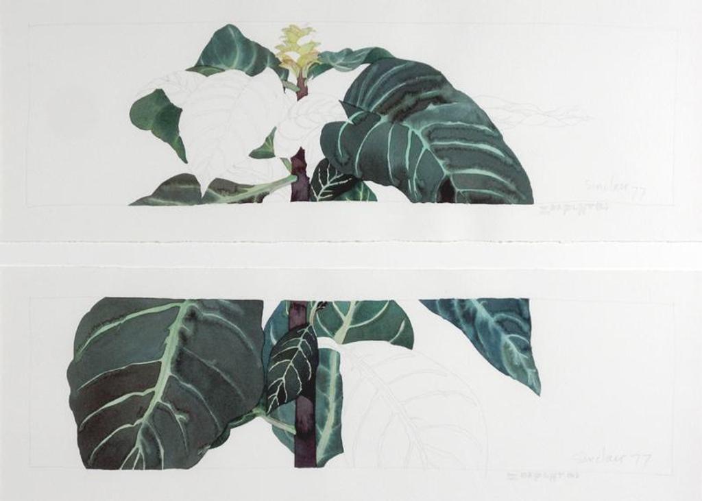 Robert William Sinclair (1939) - ZRAPLNT A & B; 1977
