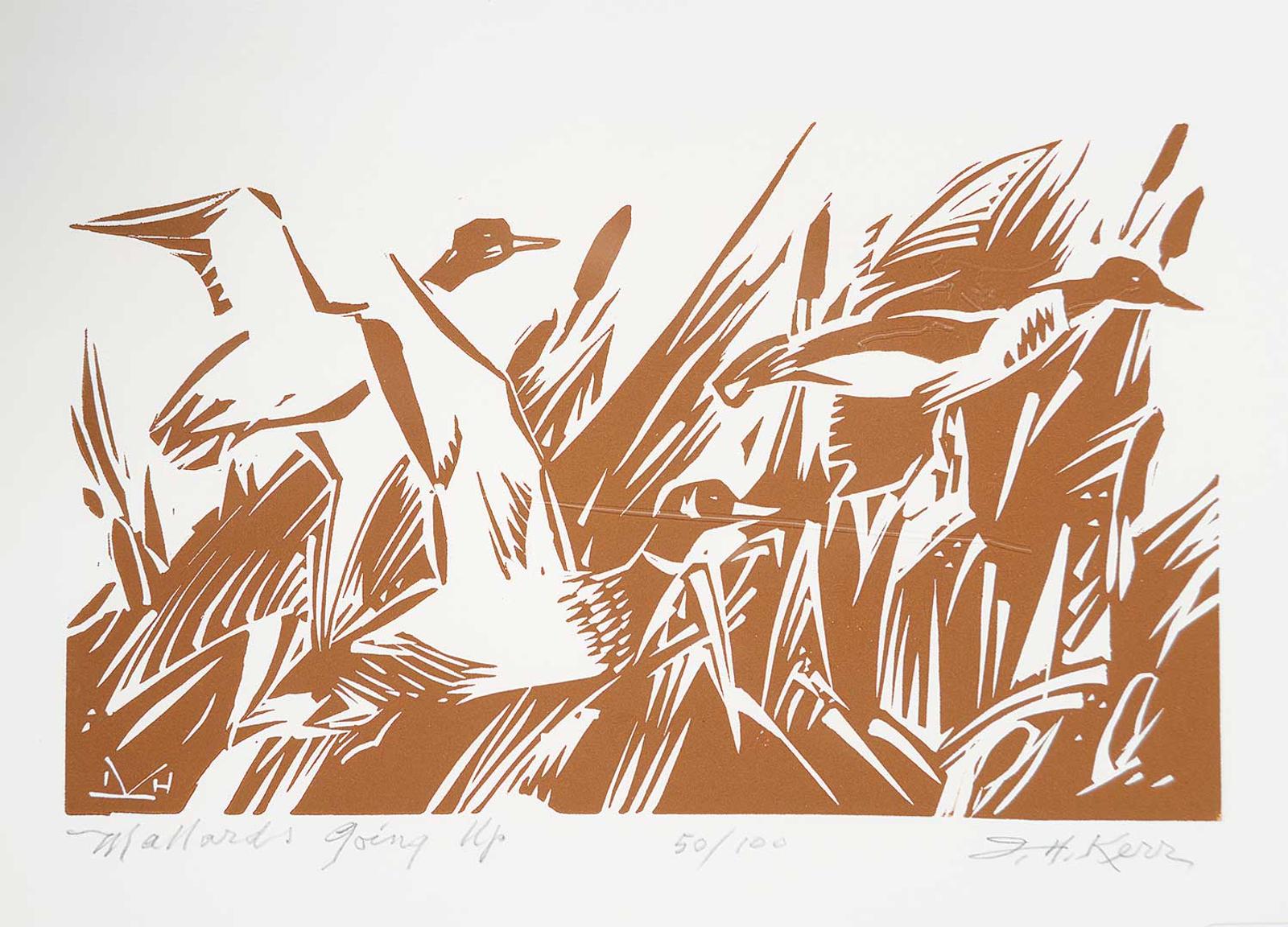 Illingworth Holey (Buck) Kerr (1905-1989) - Mallards Going Up # 50/100