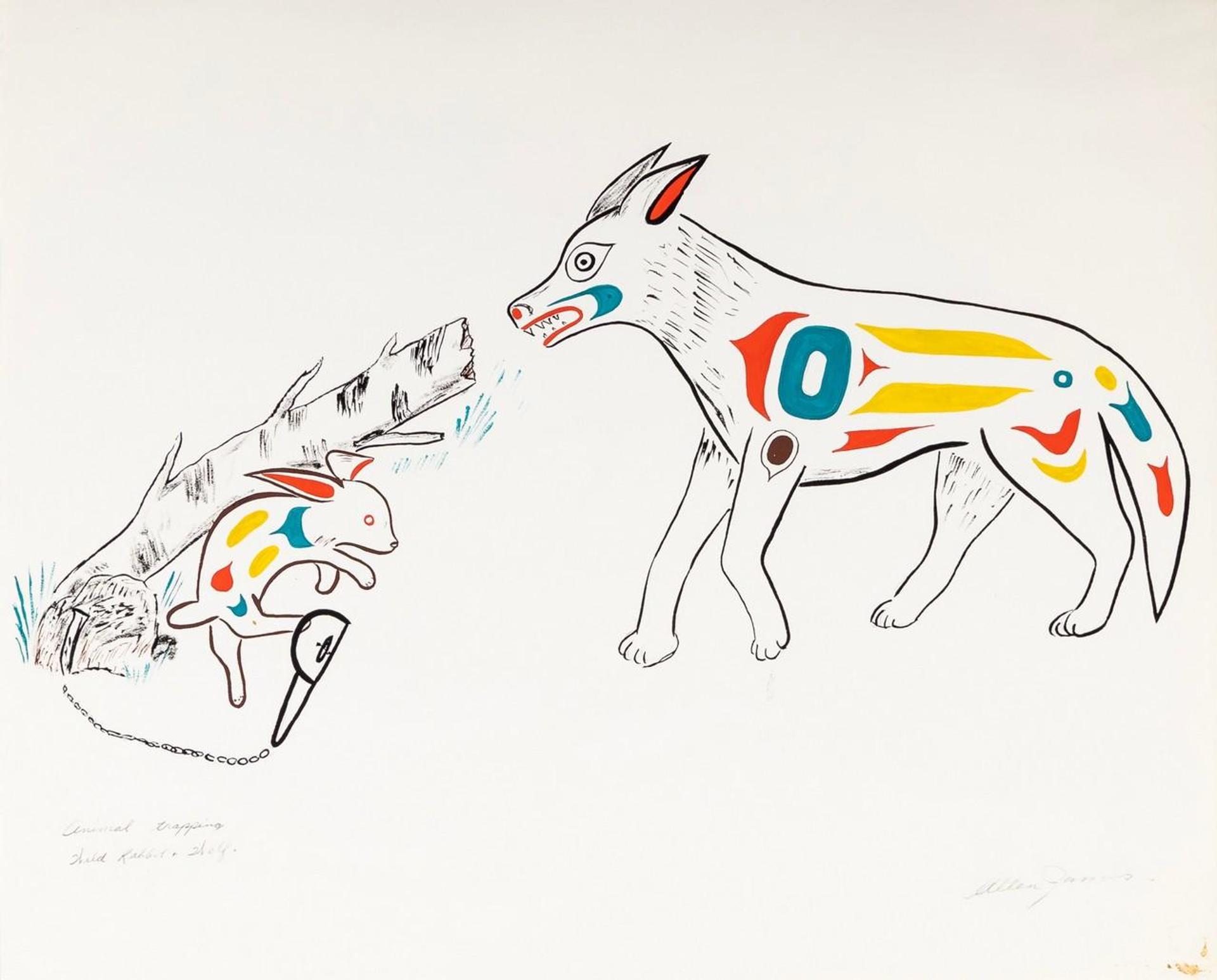Allen James - Animal Trapping Wild Rabbit & Wolf