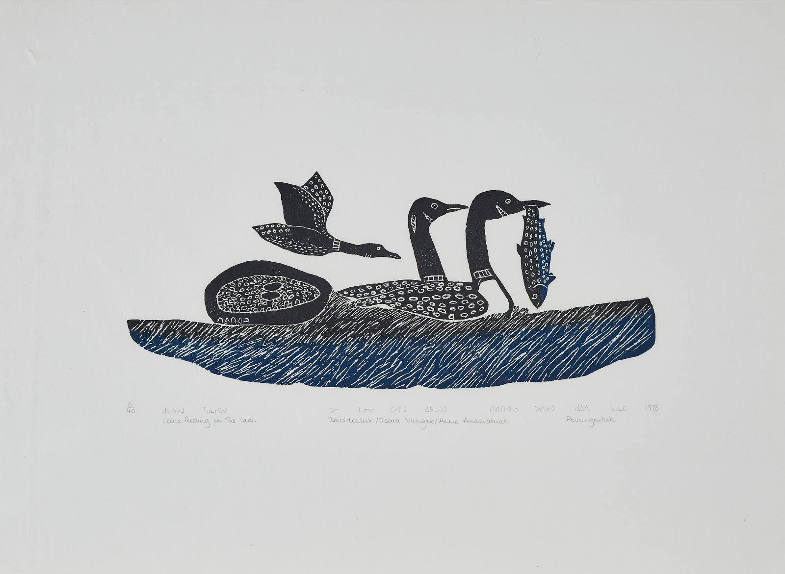 Davidialuk Alasua Amittu (1910-1976) - Loons Feeding In The Lake