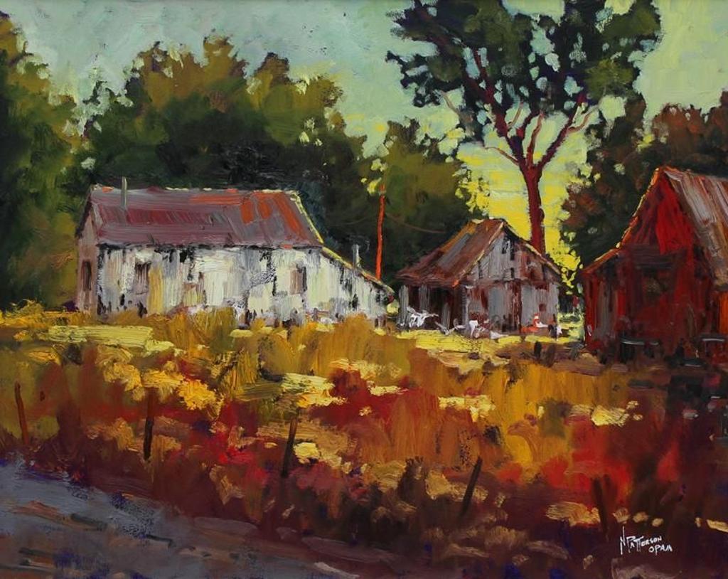 Neil Patterson (1947) - After The Chores