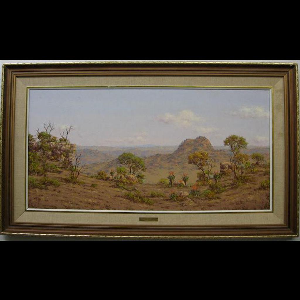 Henry Bredenkamp (1935) - N. Transvaal Landscape