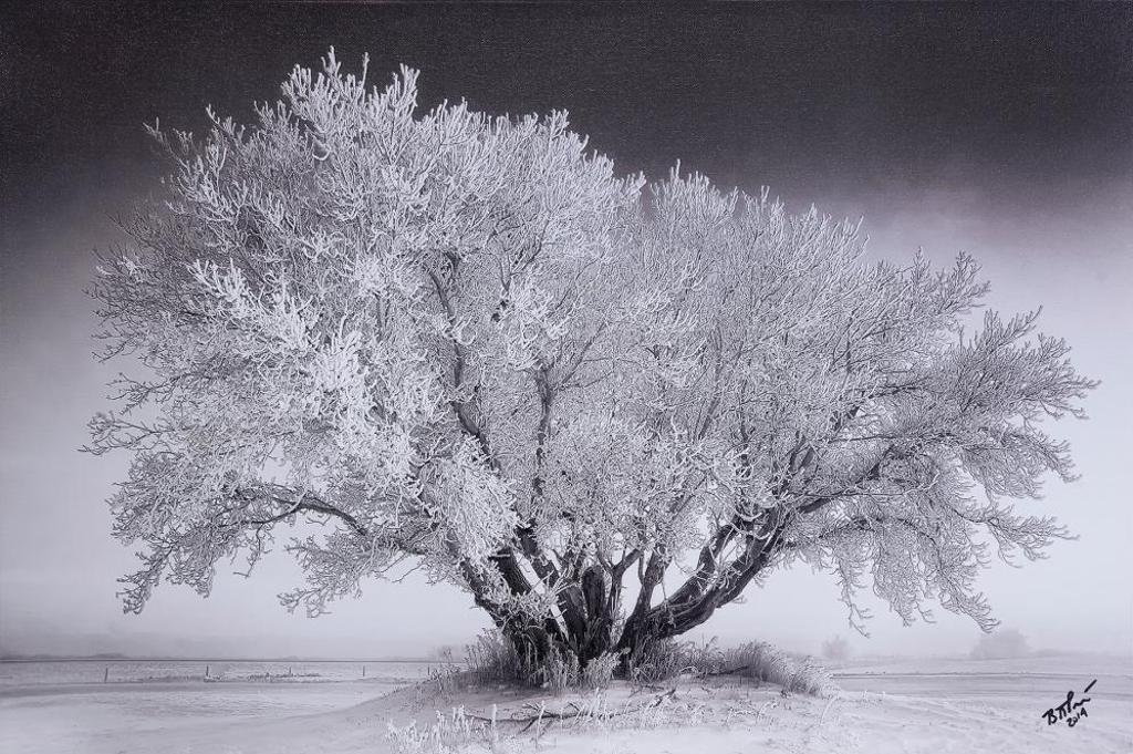 Brent Parkin - Frost Bite