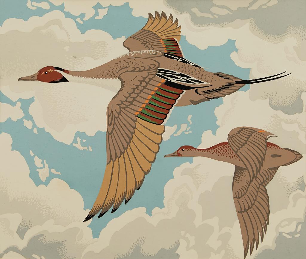 Alfred Joseph (A.J.) Casson (1898-1992) - Pintail; Green-Winged Teal