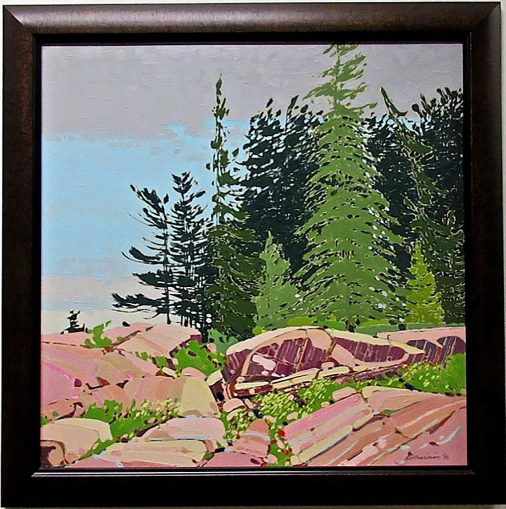 Gar Macinnis (1936) - Untitled (Rocky Shoreline - Georgian Bay)