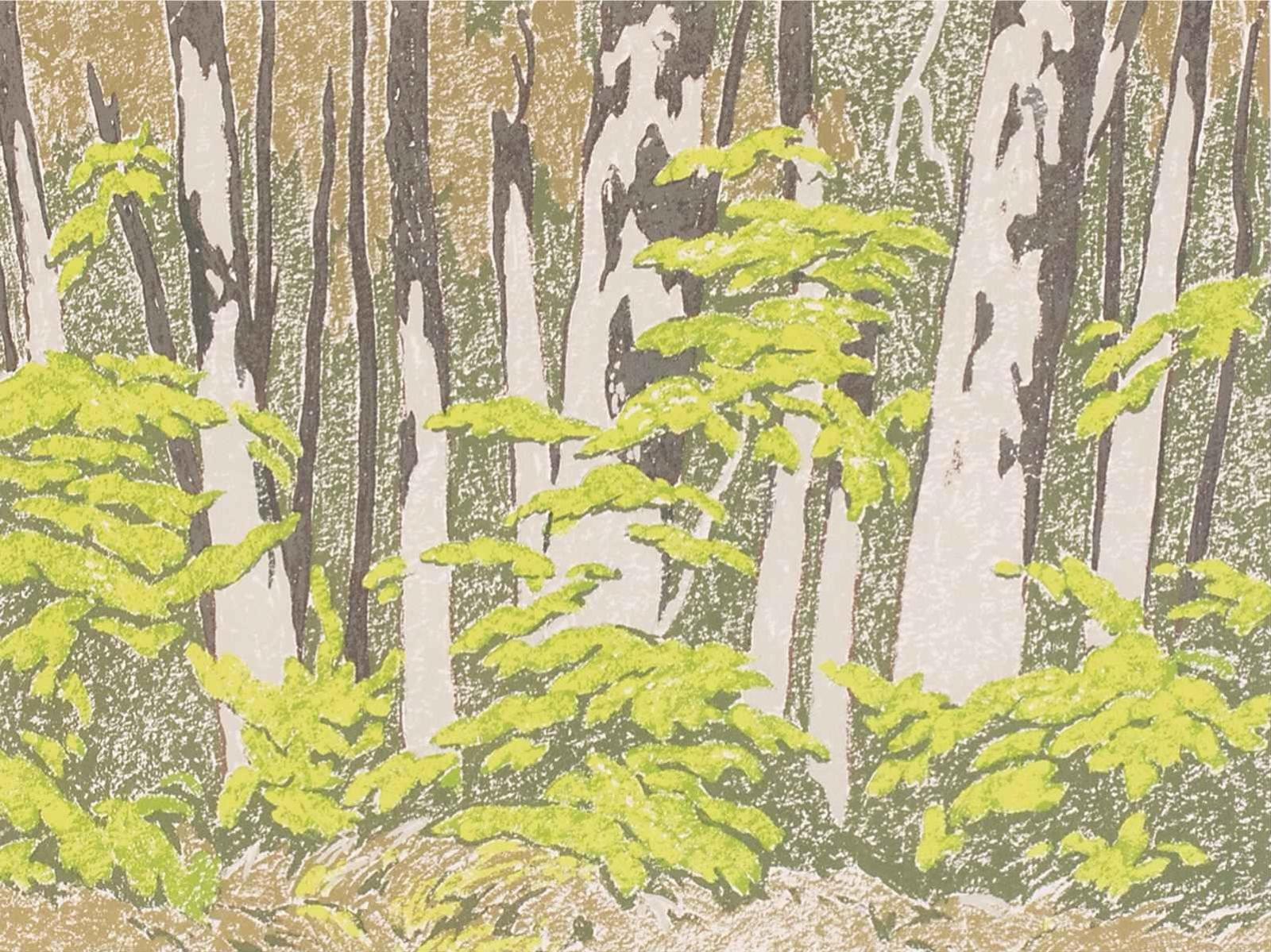 Alfred Joseph (A.J.) Casson (1898-1992) - Forest Edge