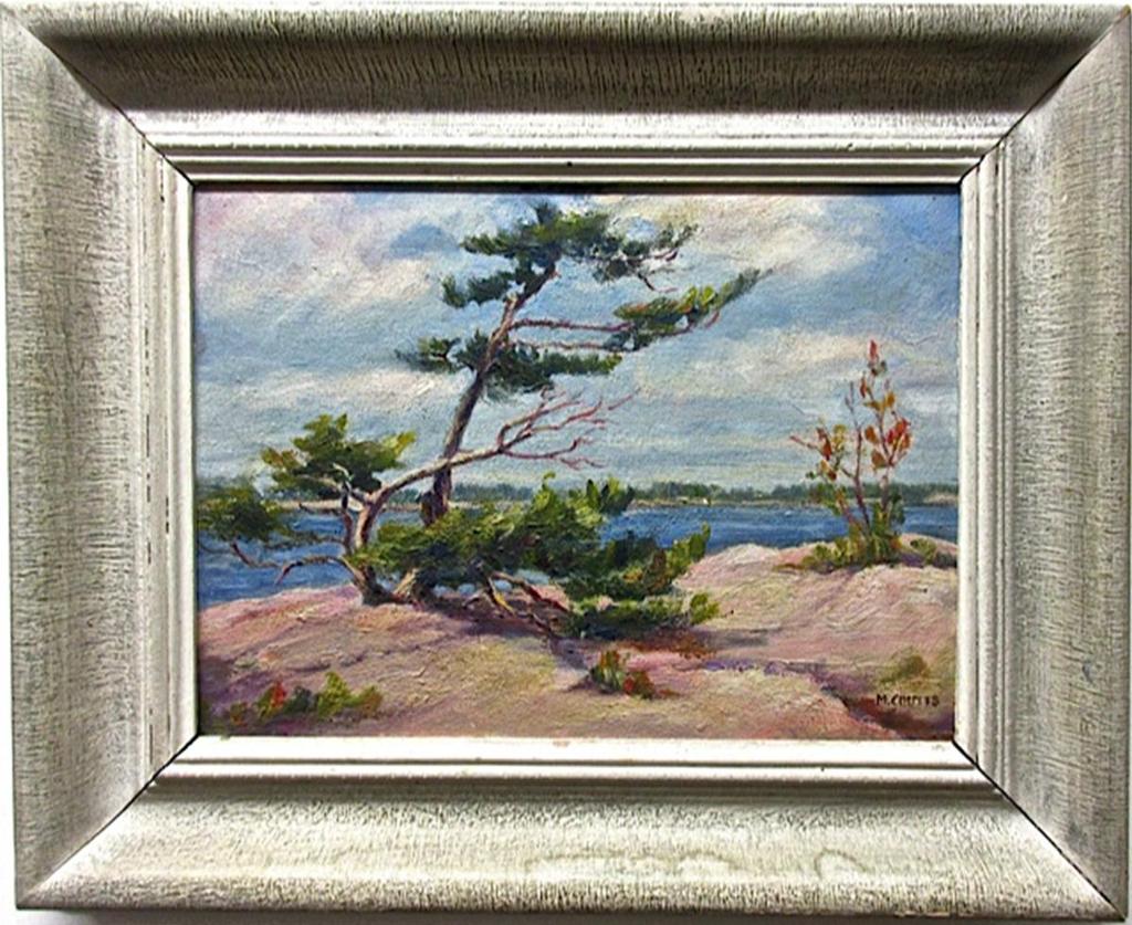 M. Coutts - Untitled (Windswept, Geo. Bay)