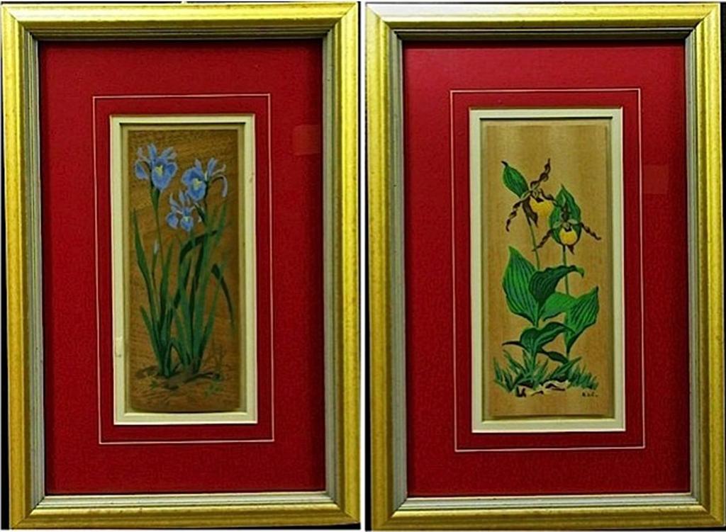 Alfred Joseph (A.J.) Casson (1898-1992) - Floral Studies