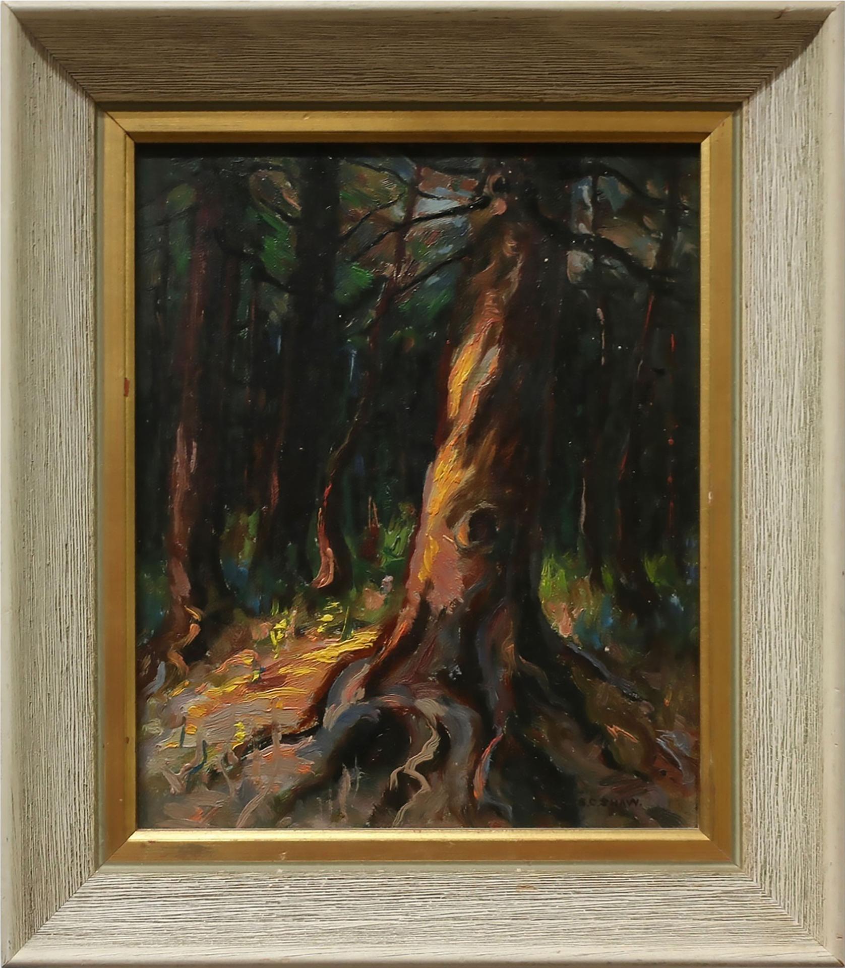 Stuart Clifford Shaw (1896-1970) - A Forest Sunset