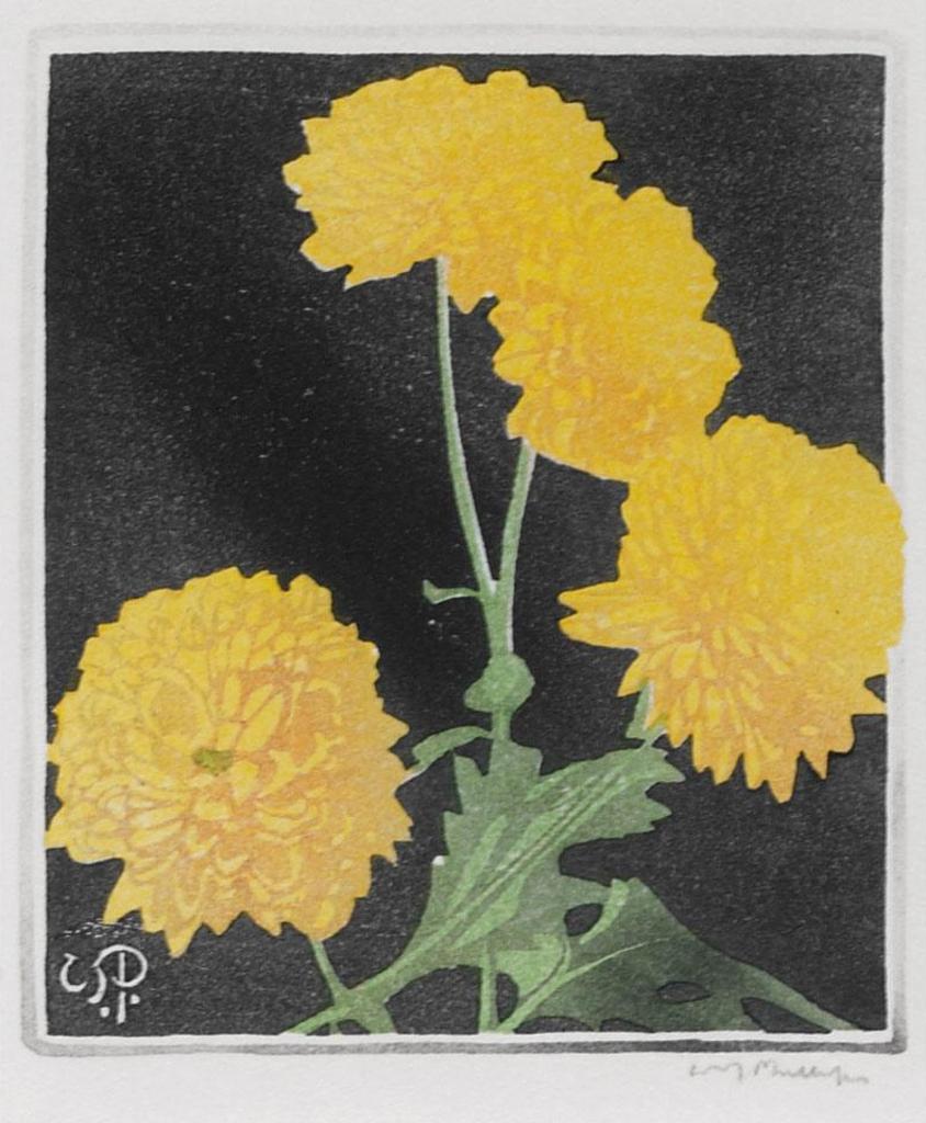 Walter Joseph (W.J.) Phillips (1884-1963) - Pom Poms