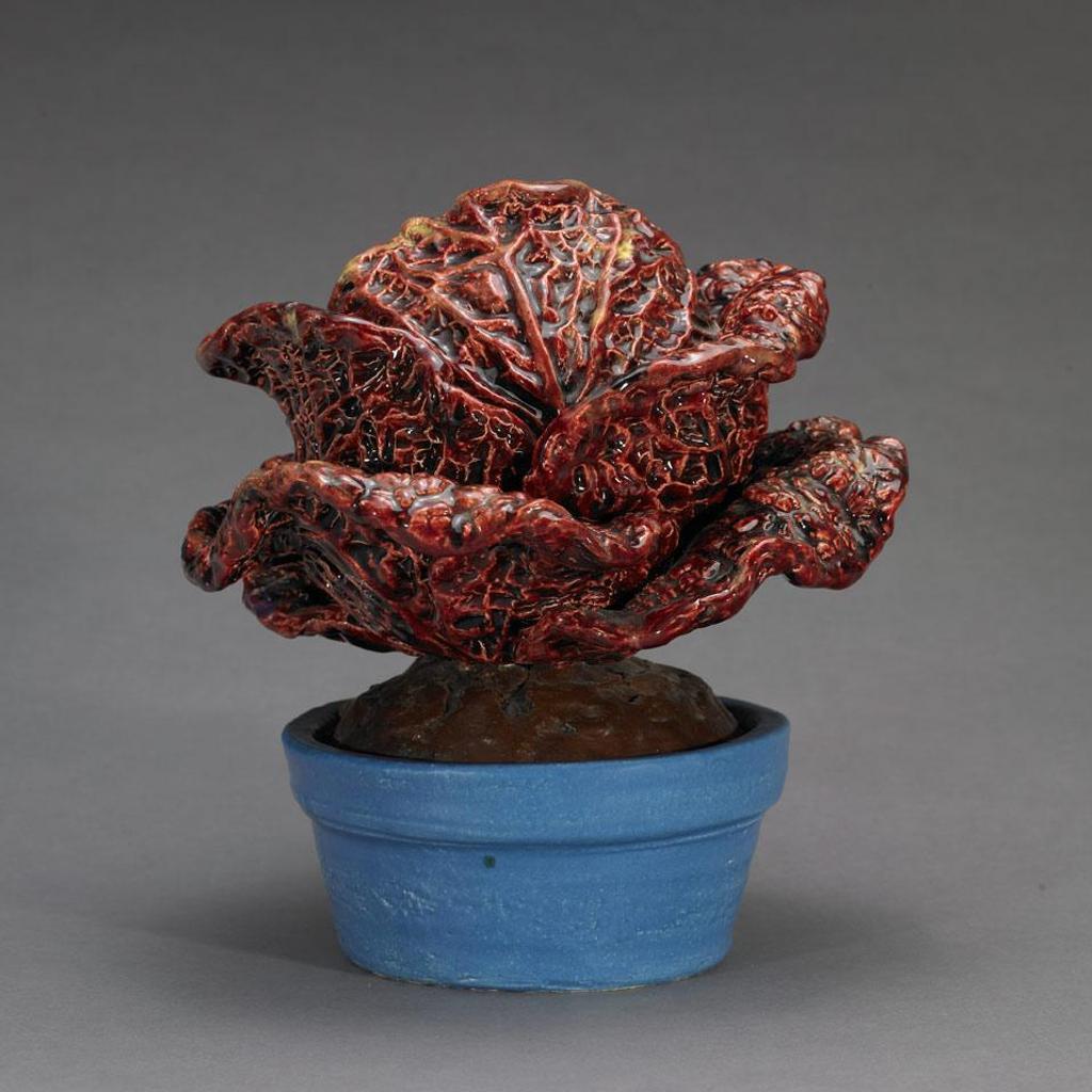 Victor Cicansky (1935) - Early Spring Red Cabbage