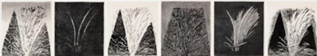 Elizabeth Forrest - The Rice Cycle (03934/03935/03936/03937/03938/03939)