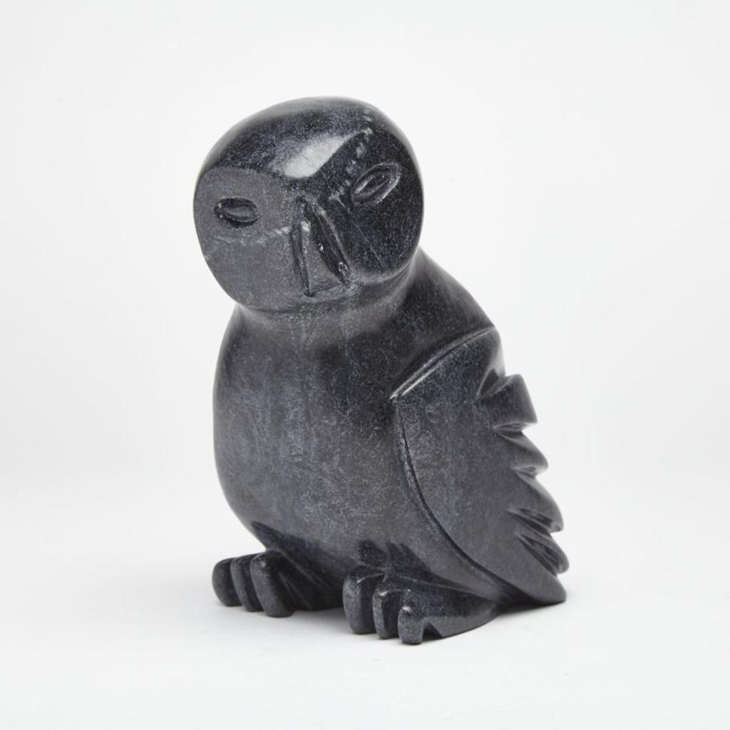 Sam Qiatsuk - Owl
