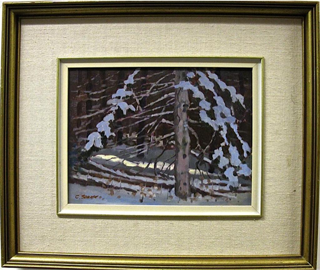 Charles Spratt - Fleeting Light, Lanark, Ont.