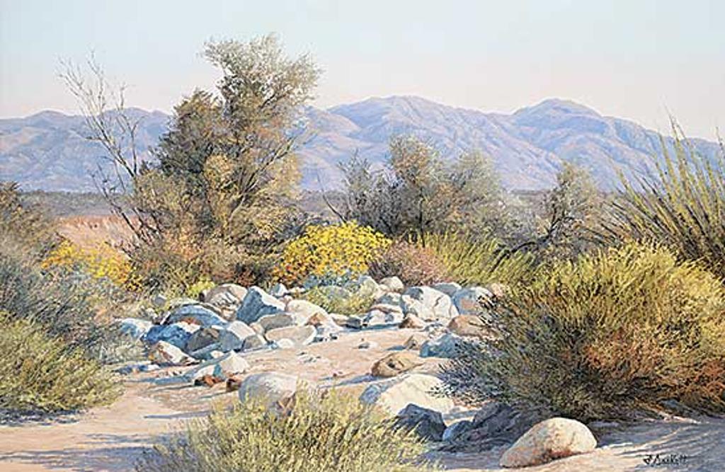 Florence Sackett (1927) - Desert Treasures