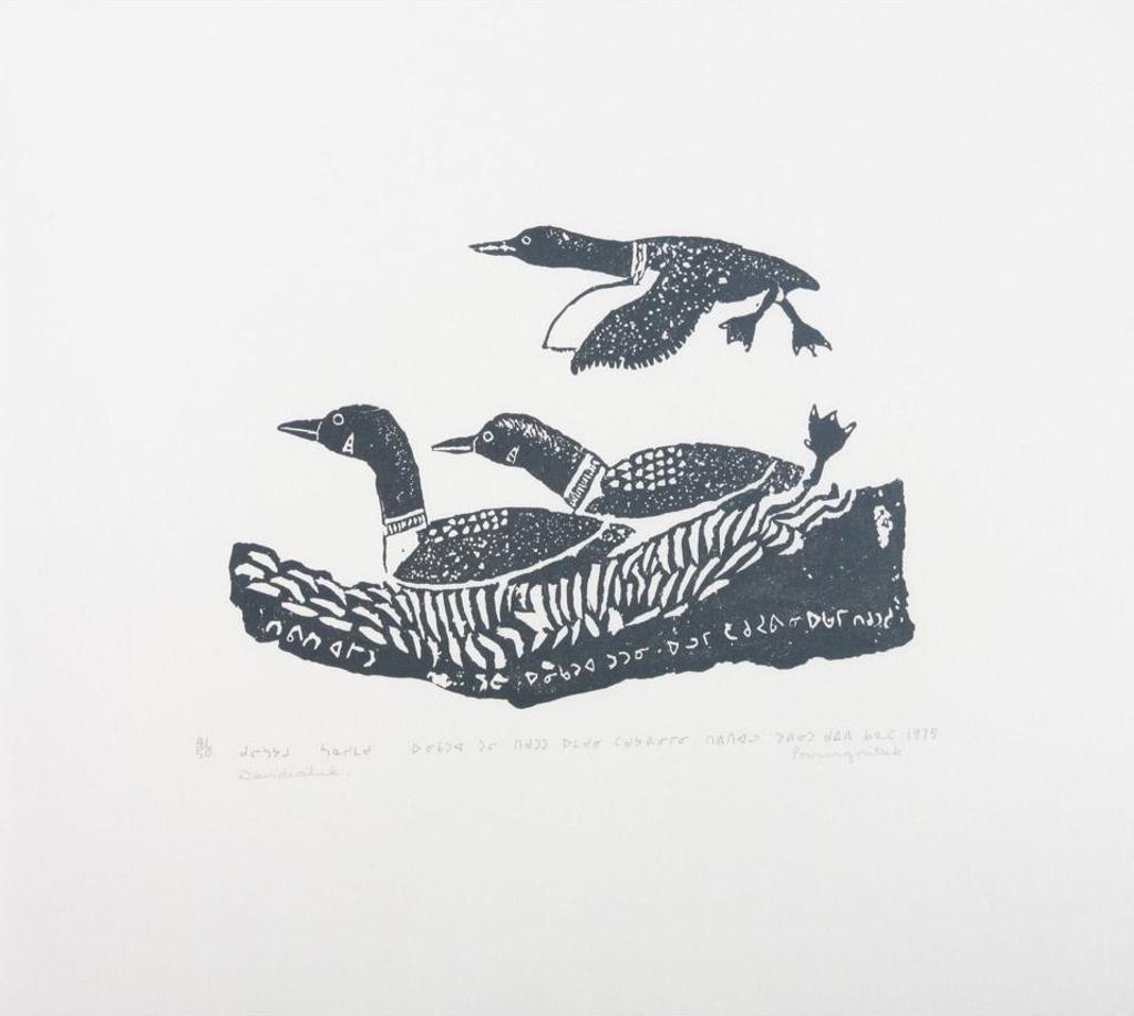 Davidialuk Alasua Amittu (1910-1976) - Loons