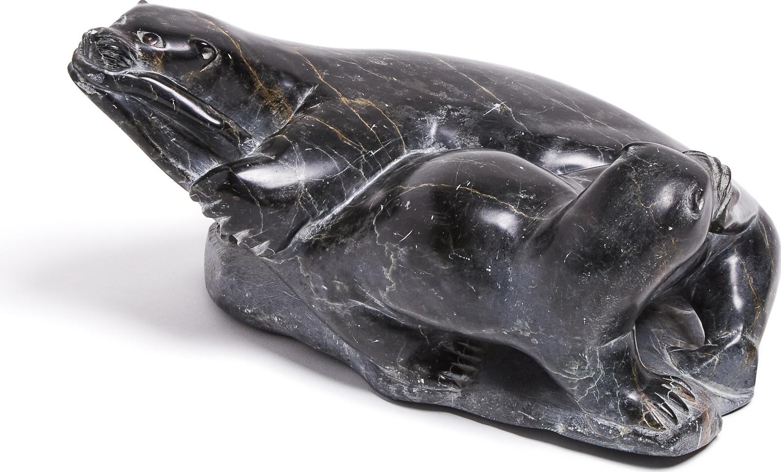 Dania Koma - Seals Fighting