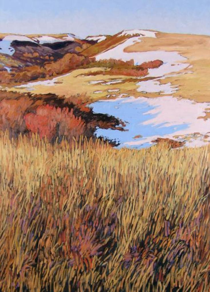 Shelley McMillan - Untitled