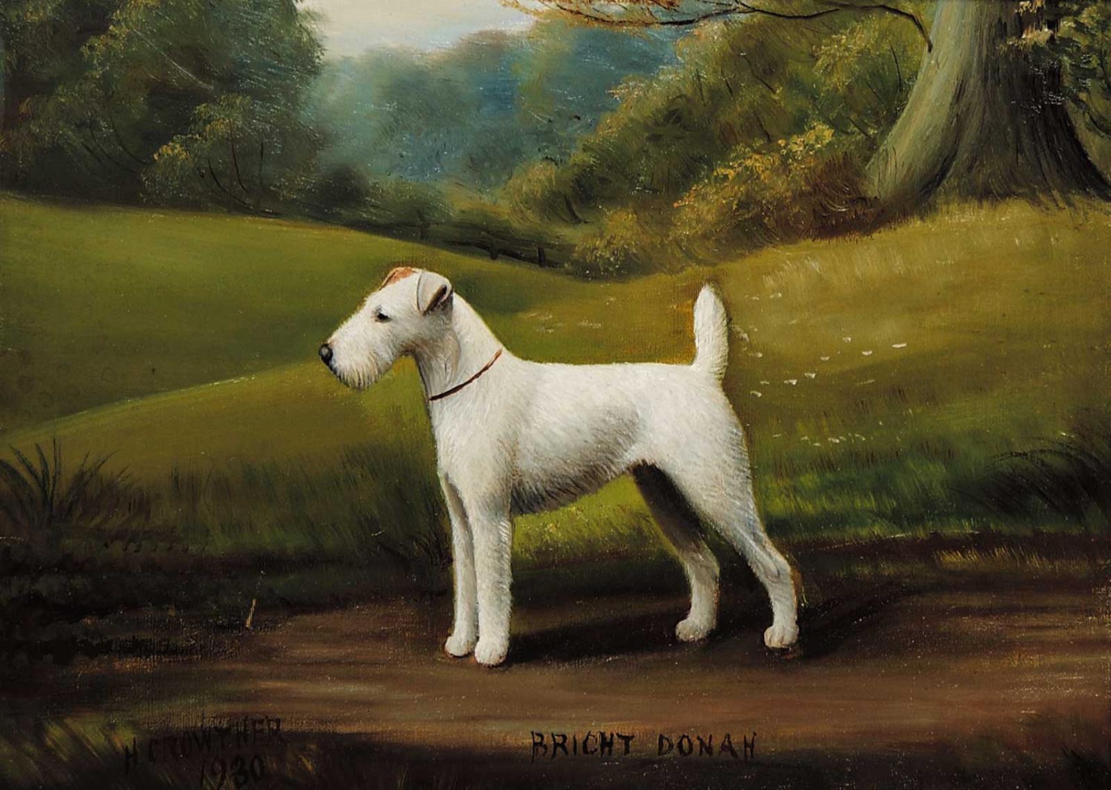 Henry Crowther - Bricht Donah