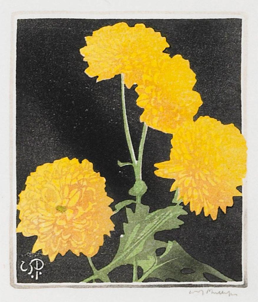 Walter Joseph (W.J.) Phillips (1884-1963) - Pom Poms