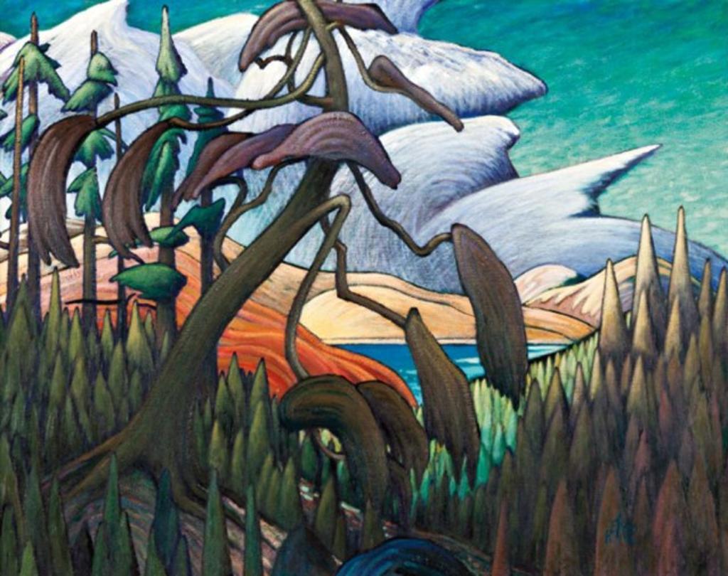 James Edward Hergel (1961) - Old Growth Pine, Lake Superior