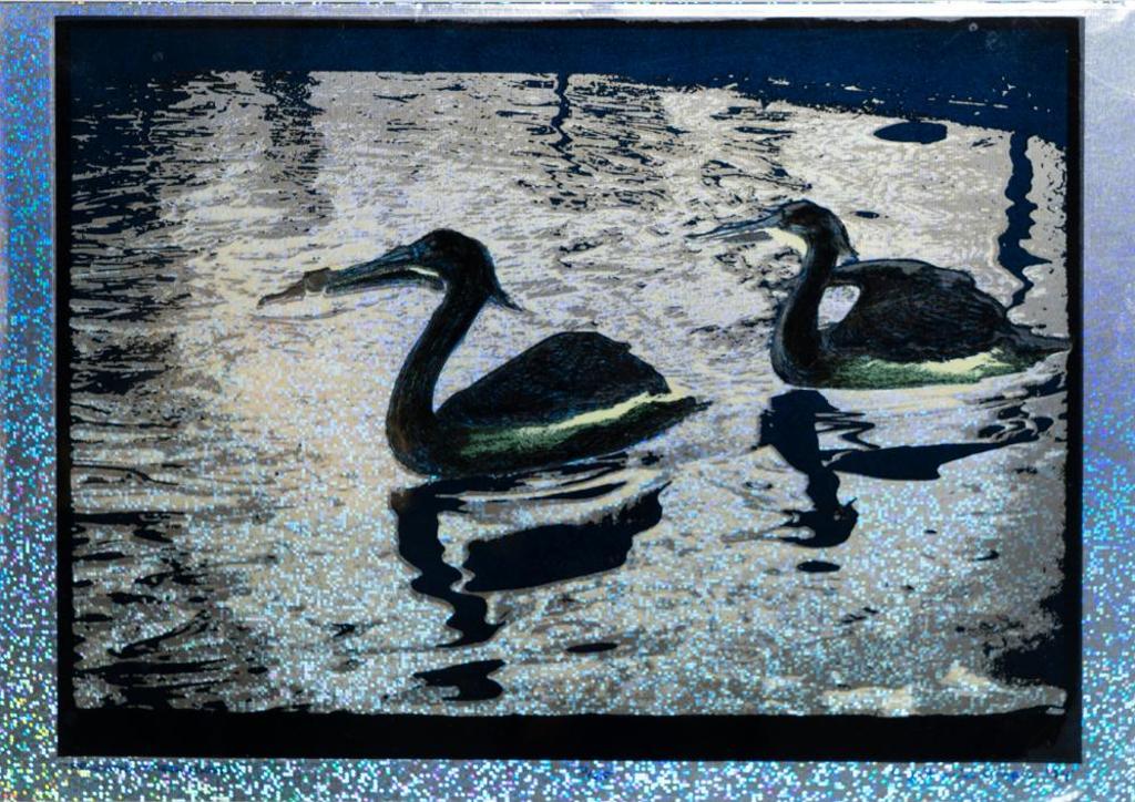 Christopher J. Finn (1950) - Pelicans (Starry Night)