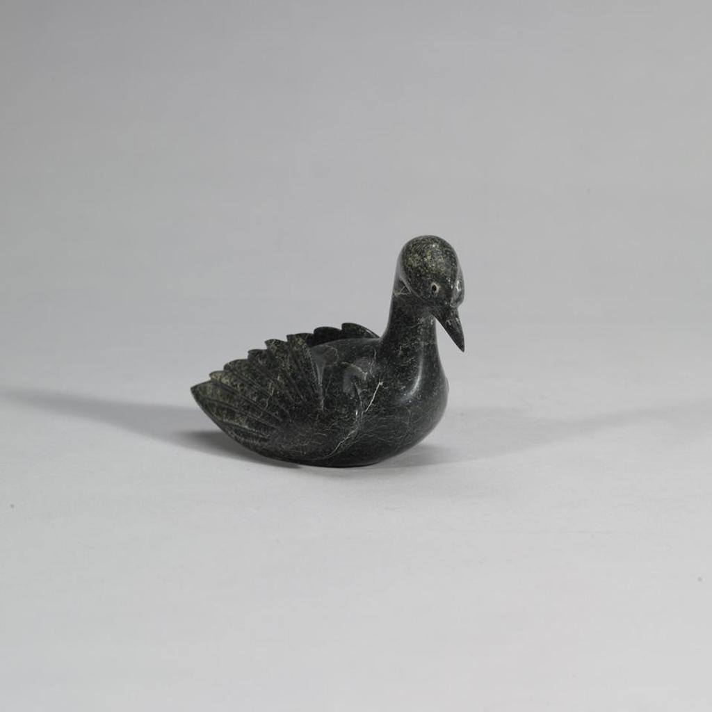 Pudlalik Shaa (1965) - Bird