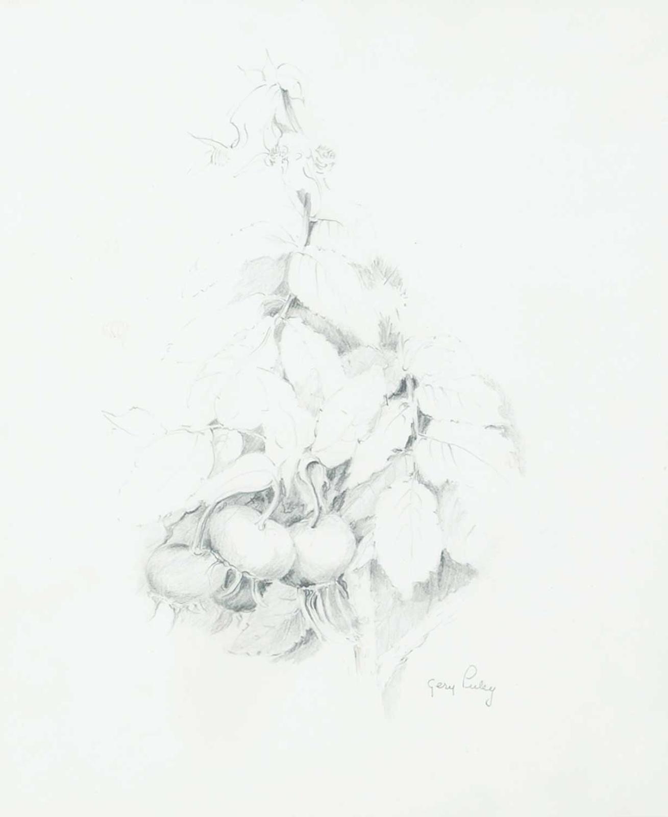 Gerry Dicken Puley - Rose Hips