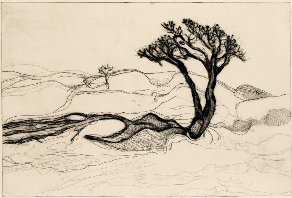 Martha Miller - Untitled - Tree