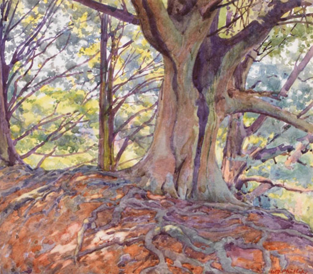 Walter Joseph (W.J.) Phillips (1884-1963) - The Beech Wood