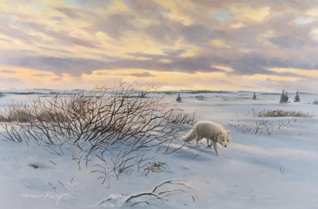Norman Kelly (1939) - Arctic Fox