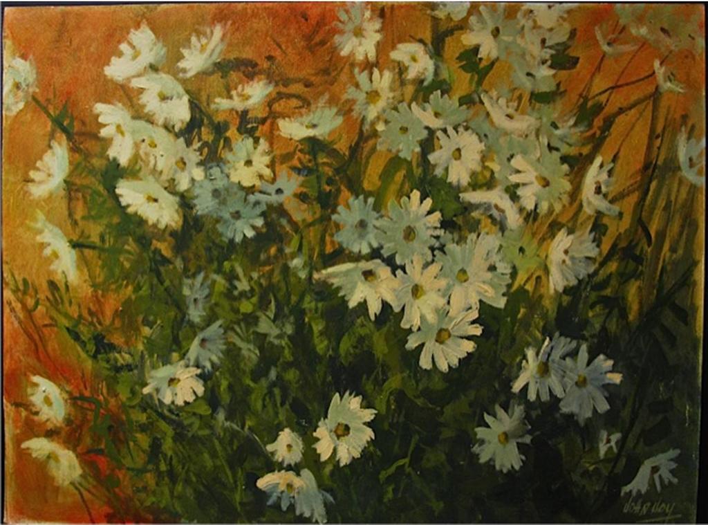 John Joy (1925-2012) - Daisies
