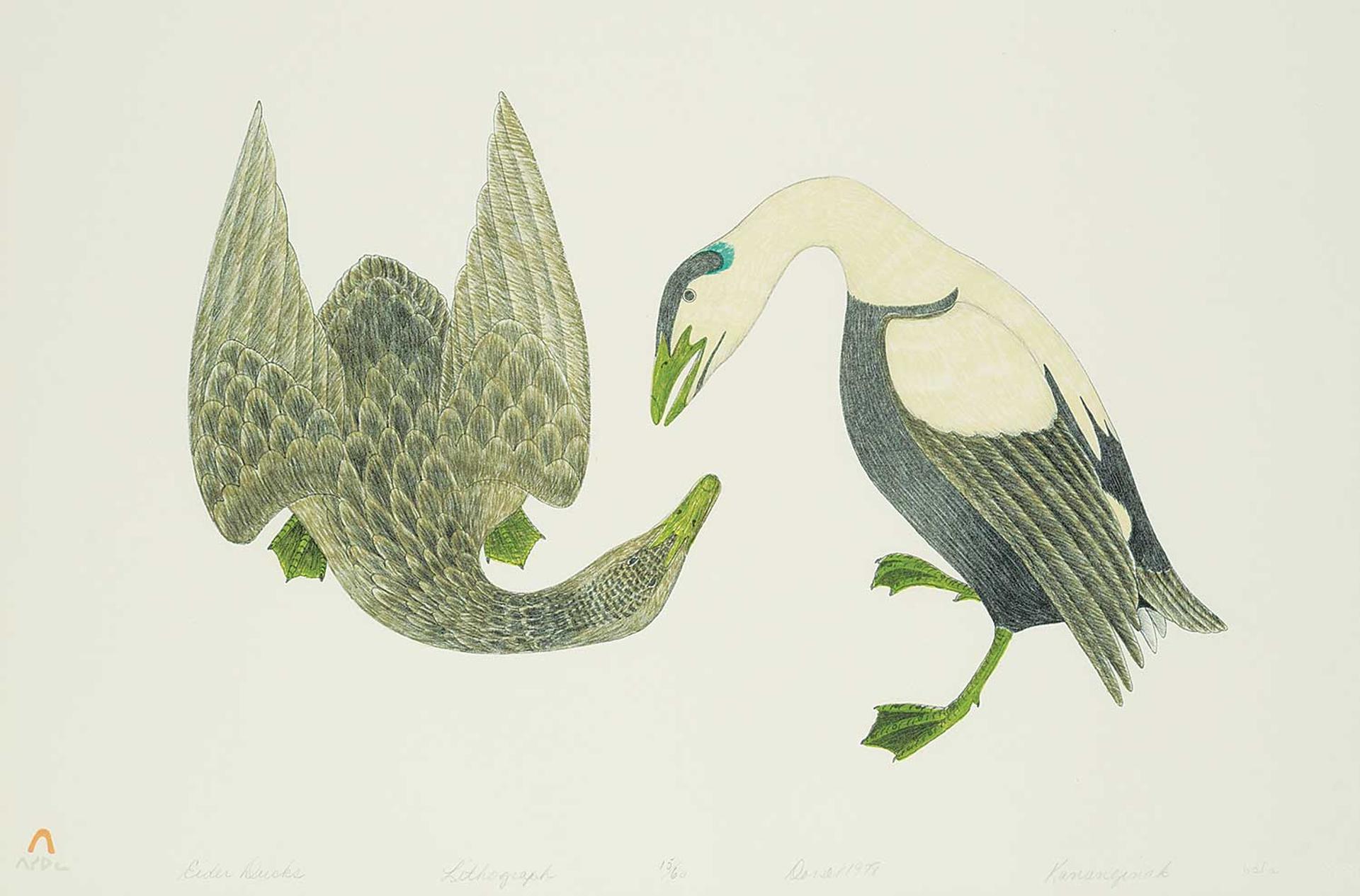 Kananginak Pootoogook (1935-2010) - Eider Ducks #15/60