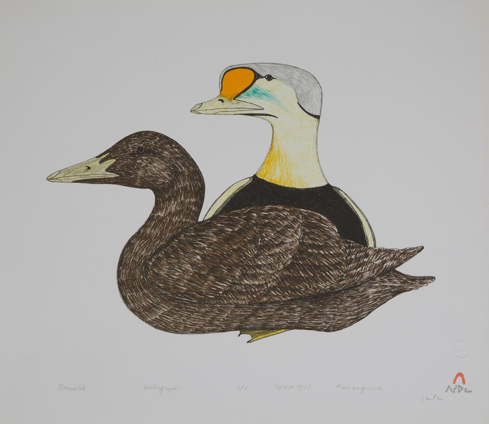 Kananginak Pootoogook (1935-2010) - Amaulik