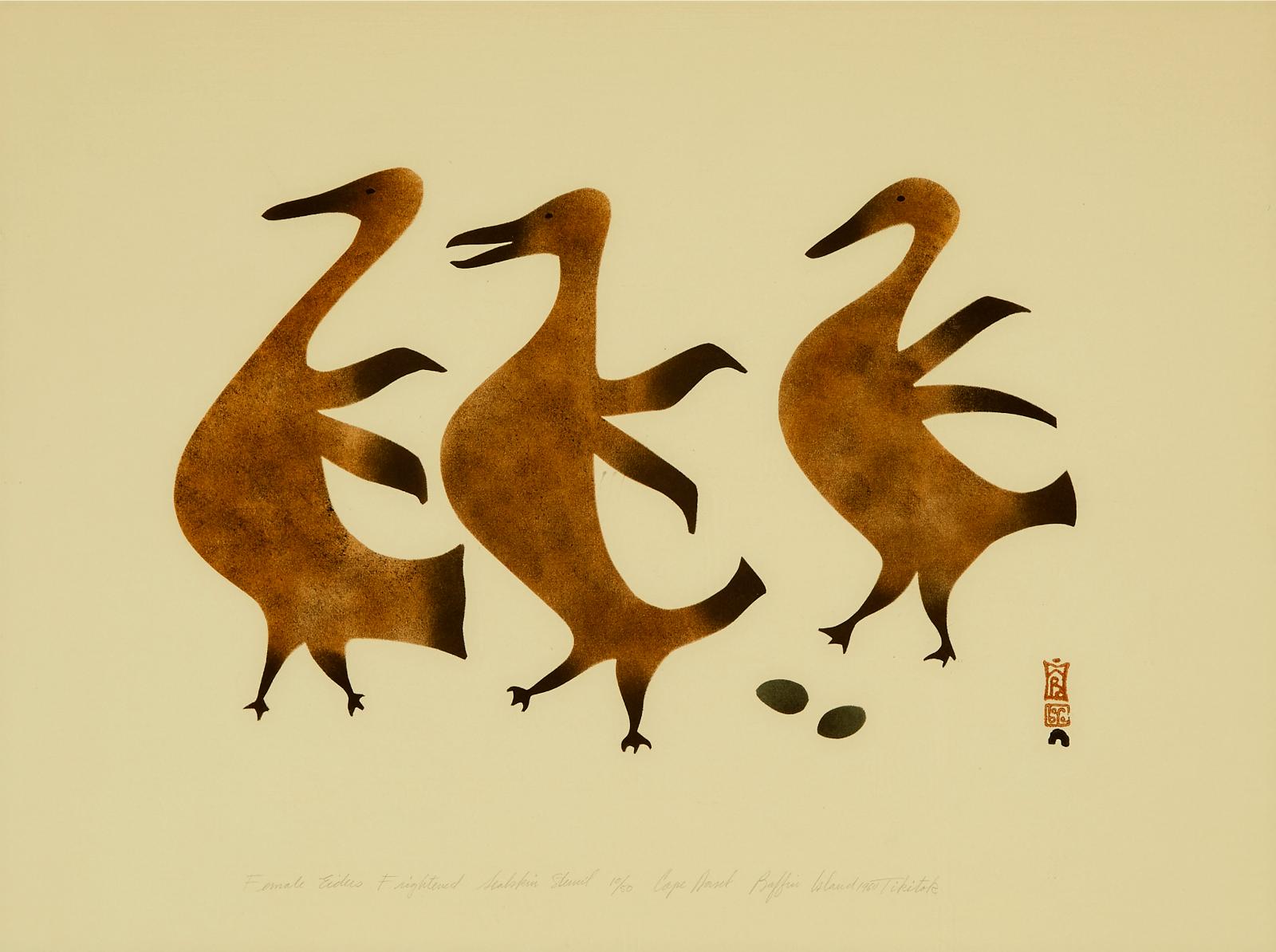 Tikitu Qinnuayuak (1908-1992) - Female Eiders Frightened