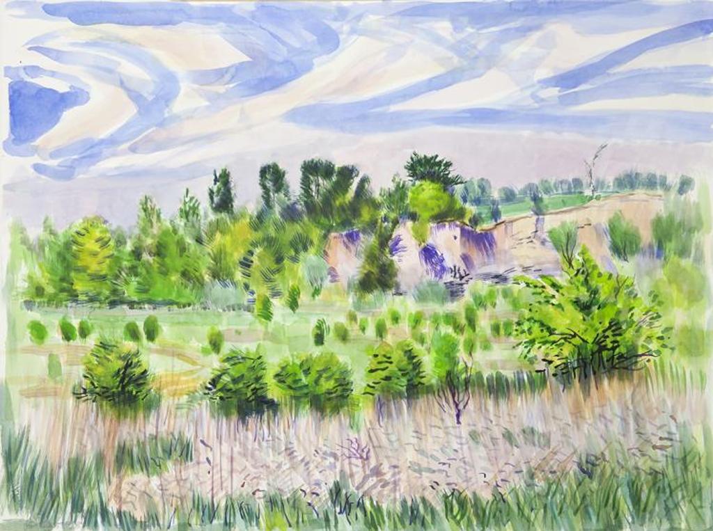 John David Anderson (1940) - Untitled - Landscape and Active Sky