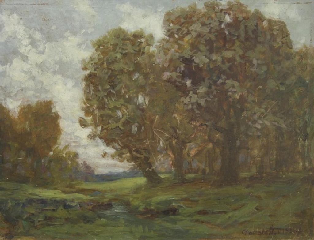 Donald McNabb - Forest Interior
